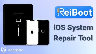 حل مشكلة تعليق الايفون 11 على شعار ابل بواسطة ReiBoot for iOS
